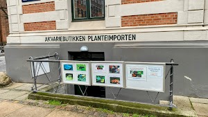 Planteimporten